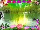 ֹ,ػʵ󷨵ӹףʦ(21)
