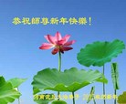 ֹ,ϴ󷨵ӹףʦ(27)
