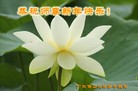 ֹ,㶫󷨵ӹףʦ(28)
