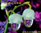 ֹ,д󷨵ӹףʦ(27)

