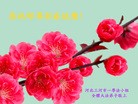 ֹ,ȷ󷨵ӹףʦ(27)
