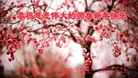 ֹ,ʯׯ󷨵ӹףʦ(30)
