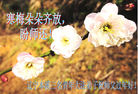 ֹ,Ϫ󷨵ӹףʦ(26)
