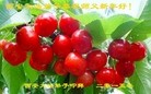 ֹ,󷨵ӹףʦ(26)
