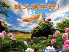 ֹ,ػʵ󷨵ӹףʦ(29)
