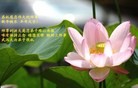 ֹ,人󷨵ӹףʦ(28)
