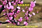 ֹ,󷨵ӹףʦ(23)
