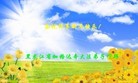 ֹ,󷨵ӹףʦ(23)

