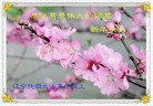 ֹ,󷨵ӹףʦ(37)
