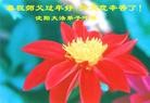 ֹ,󷨵ӹףʦ(28)
