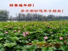ֹ,󷨵ӹףʦ(31)
