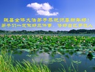 ֹ,ӱ󷨵ӹףʦ(29)
