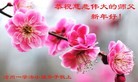 ֹ,ӱ󷨵ӹףʦ(30)
