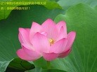 ֹ,д󷨵ӹףʦ(27)
