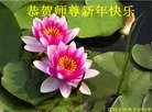 ֹ,󷨵ӹףʦ(28)
