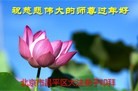 ֹ,󷨵ӹףʦ(28)
