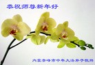 ֹ,ɹŴ󷨵ӹףʦ(33)
