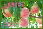 ֹ,󷨵ӹףʦ(28)
