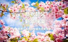 Published on 2/9/2016 ���ֹ�,�������ش󷨵��ӹ�ףʦ�������
