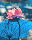 ֹ,󷨵ӹףʦ(26)
