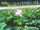 ֹ,󷨵ӹףʦ(30)
