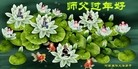 ֹ,ϴ󷨵ӹףʦ(28)
