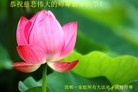 ֹ,ӱ󷨵ӹףʦ(24)
