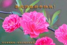 ֹ,ӱ󷨵ӹףʦ(24)
