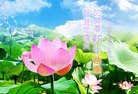 ֹ,ϴ󷨵ӹףʦ(28)
