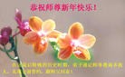 ֹ,󷨵ӹףʦ(28)

