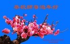 Published on 2/9/2016 ���ֹ�,�������ش󷨵��ӹ�ףʦ�������
