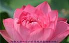 ֹ,ϴ󷨵ӹףʦ(28)
