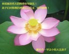 ֹ,ȷ󷨵ӹףʦ(28)
