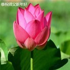 Published on 2/16/2015 ���ֹ�,��½�󷨵��ӹ�ףʦ������(42��)
