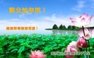 ֹ,󷨵ӹףʦ(26)

