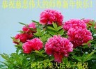 ֹ,ӱʯׯ󷨵ӹףʦ(33)
