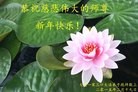 ֹ,󷨵ӹףʦ(27)
