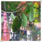 Published on 2/21/2015 ���ֹ�,��½�󷨵��ӹ�ףʦ������(70��)
