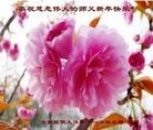 ֹ,ϴ󷨵ӹףʦ(22)
