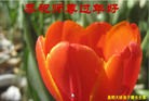 ֹ,ϴ󷨵ӹףʦ(21)
