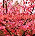 ֹ,󷨵ӹףʦ(30)
