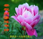 ֹ,󷨵ӹףʦ(24)
