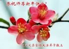ֹ,ݴ󷨵ӹףʦ(30)
