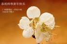 ֹ,ݴ󷨵ӹףʦ(23)
