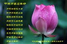 ֹ,ȷ󷨵ӹףʦ(22)
