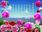 ֹ,ӱ󷨵ӹףʦ(24)
