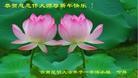 ֹ,ϴ󷨵ӹףʦ(21)
