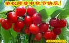 ֹ,ʡ󷨵ӹףʦ(21)

