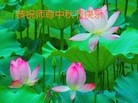ֹ,ʡ󷨵ӹףʦ(19)
