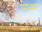 ֹ,󷨵ӹףʦ(23)
